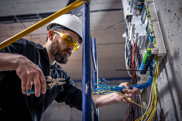 Best Electric Panel Repair  in Lake San Marcos, CA